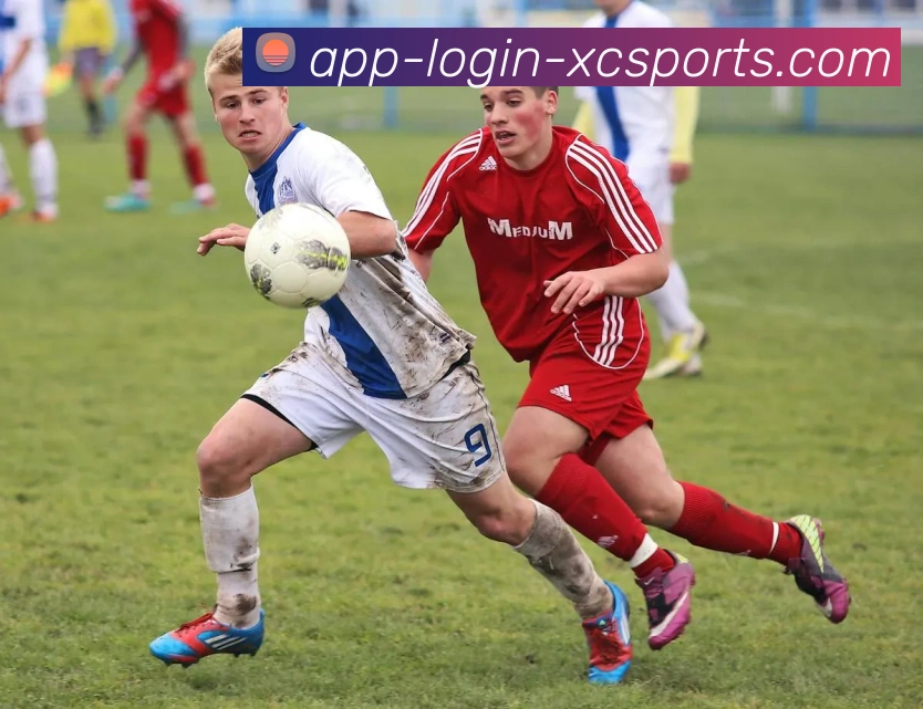 杏彩体育平台生态图