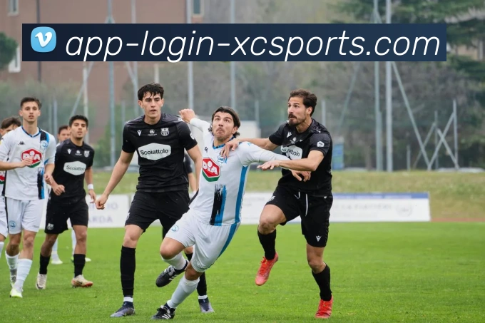 杏彩体育APP 封面图